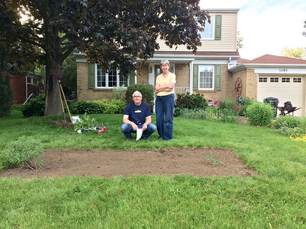Seven Years of Blooming Boulevards: How Native Plant Gardens Took Root in Mississauga