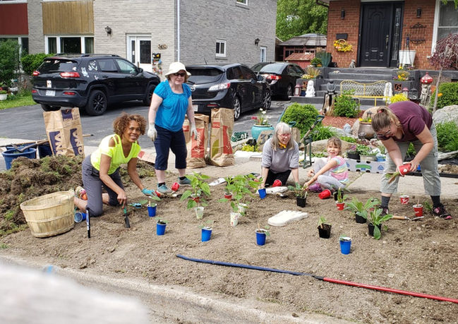 People planting wildflowers in a new garden.