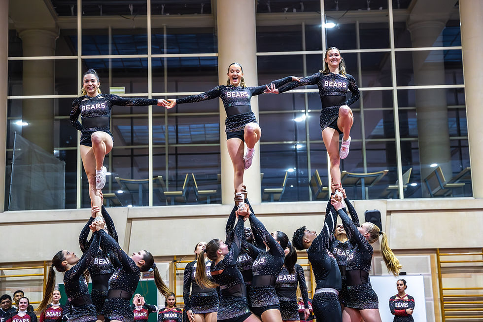 Stunts de Revolution