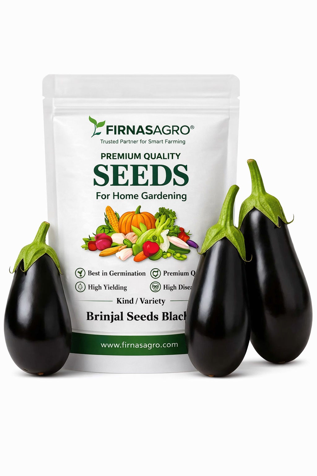 Brinjal Seeds Black - 250 Seeds) High Germination/ High Yield