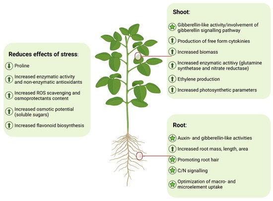 Thumbnail: Protein Hydrolysates  Natural Growth  250 ml  Price  ₹340