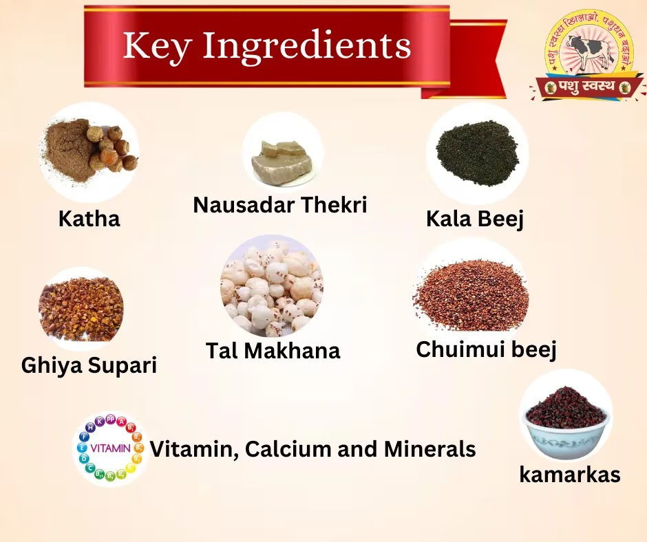 Thumbnail: PASHU SVASTH GARBH SVASTH, Herbal Cattle Prolapse And Uterine Health Solution 