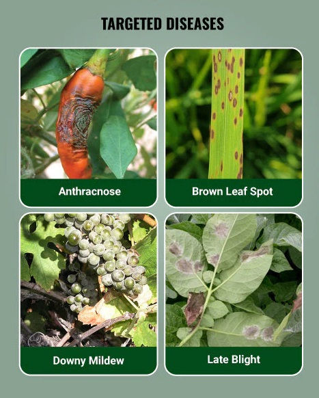 Thumbnail: Antracol Fungicide – Propineb 70% WP for Vegetables, Fruits & Paddy 500 gms