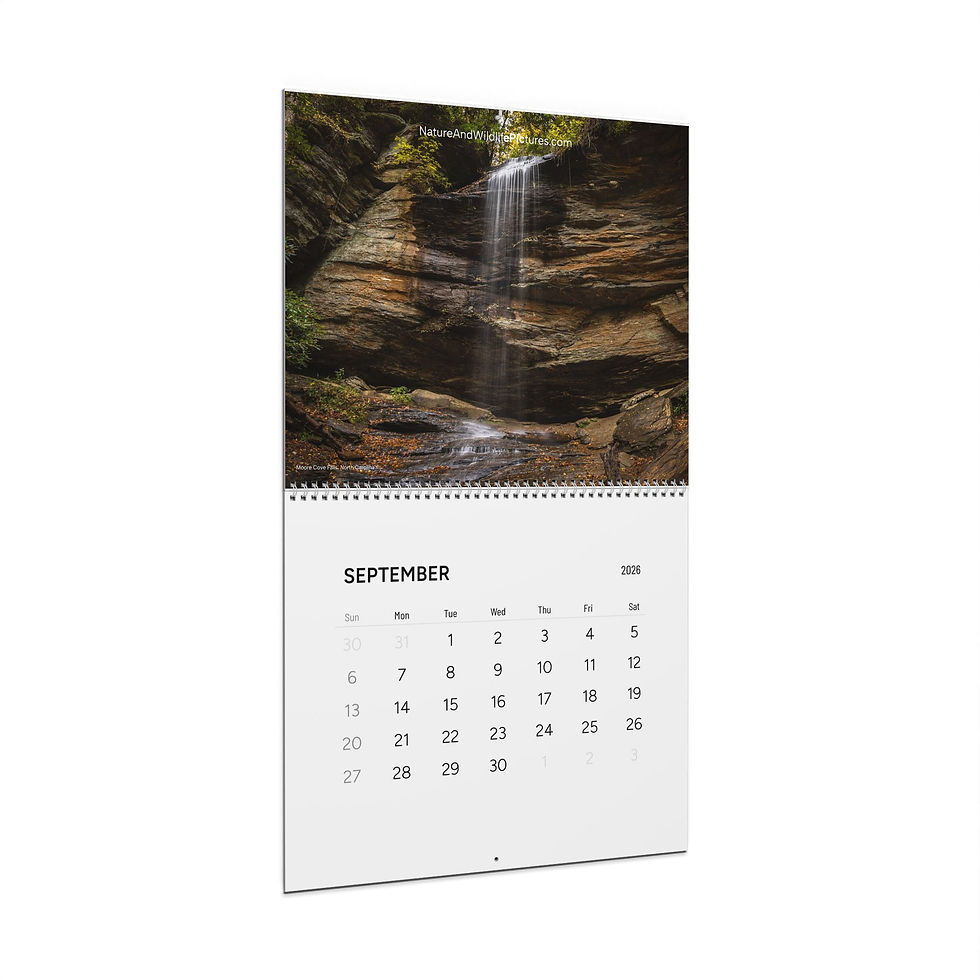 Thumbnail: Nature Wall Calendar 2026 - Waterfalls Collection