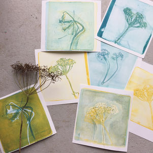 Venue #34 – Kathy Hutton (Peacock Committee)