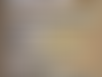 «Der Schweiz gehen die Ausländer aus»