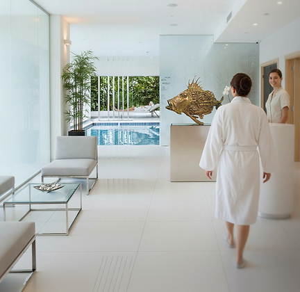 simu poisson aquatique spa.png