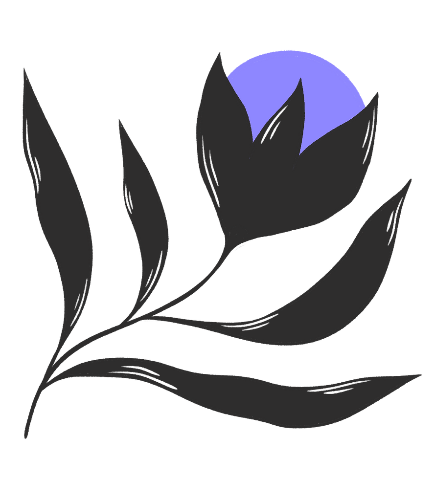 Elementos4.png