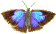 mura_s50.gif
