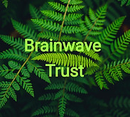 Text on a fern background that says What are ACES__edited_edited.jpg