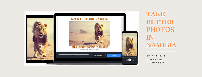 digital_online_course_visual_3_png.png