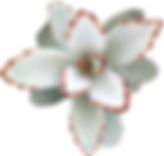 1537004257986.jpeg