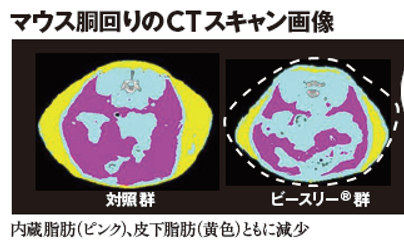 smart_desc5.png