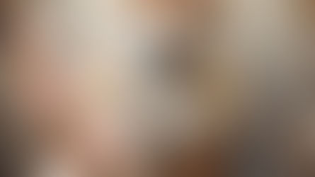 Totem Animal Wisdom: The Fox 