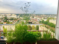 plante_balcon5