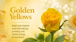 Golden Yellows