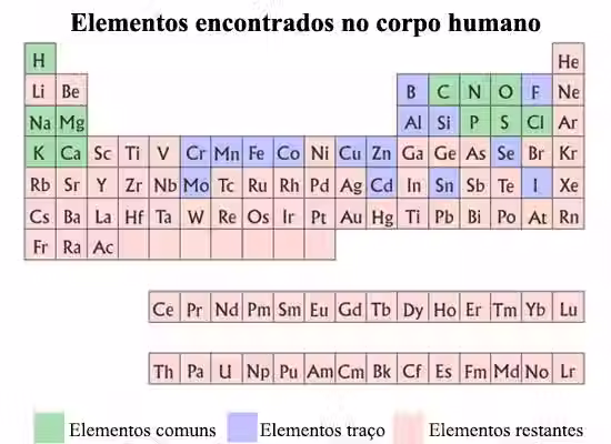 Figura 1 - (Fonte: “Elementos químicos essenciais para a vida”, Arizona State University, 2020)