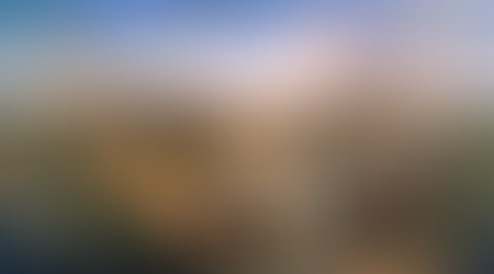 Patrimonialismo institucionalizado: o que dizem as ciências sociais?