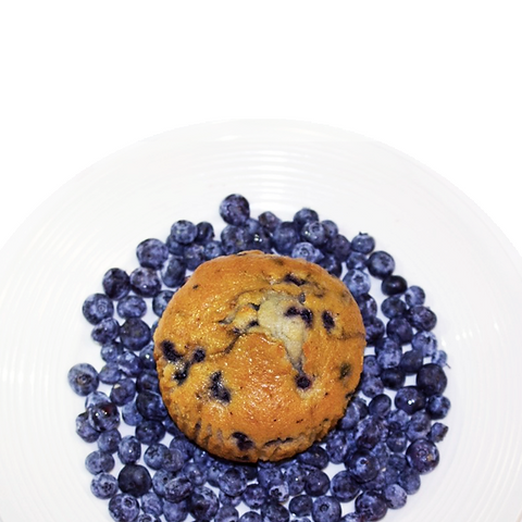 Whole Grain Protein Blueberry Muffin Vegetarian Dairy Free Healthy Prepared Meal Fit Food Delicious Tasty Nutritious Fruit Pastry Healthier Alternative