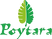 Poytara.png