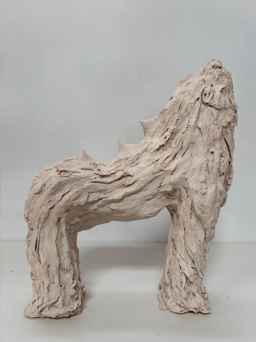 Guard hair