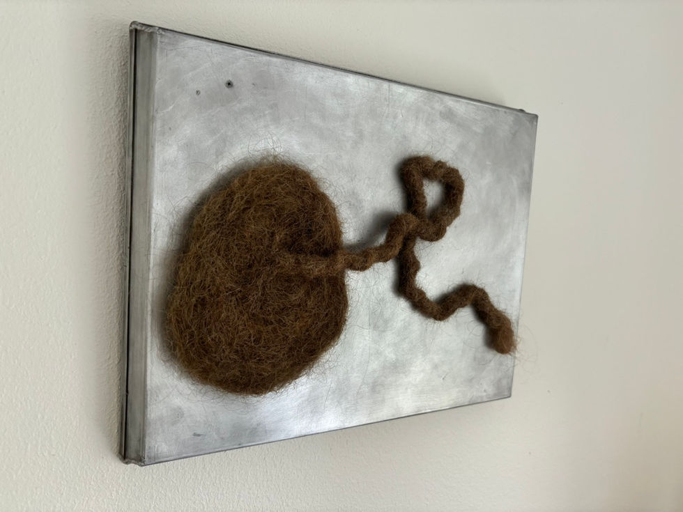 Nostalgia, 2023
human hair, iron tray 
35 x 28 x 5 cm