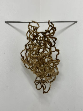 2024
human hair, iron wire, iron 
74 x 77 x 26 cm