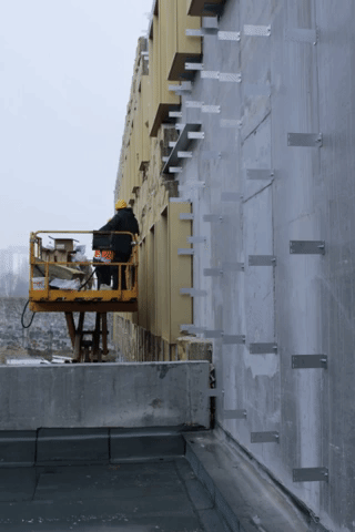 giphy.gif.gif