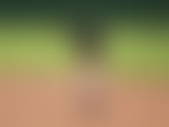 Fausto Lopez:  A Season to Remember