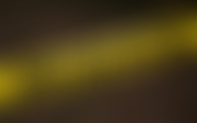 Skull found in Rutherford County