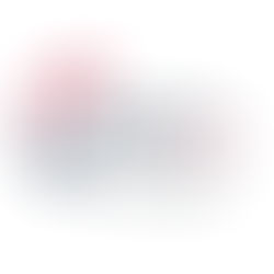 A Night with Ann Coulter at MTSU