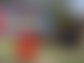 Knoxville School Shooting