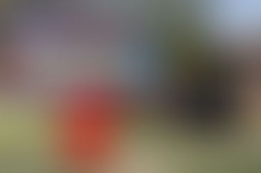 Knoxville School Shooting