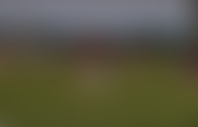 Eagleville Starts Fast, Finishes Strong in 49-14 Rout of Houston County