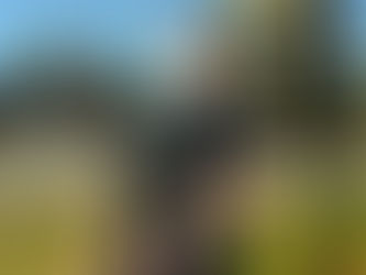 First Female Defensive Instructor at MTSU