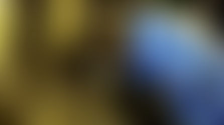 One Dead Another Injured in  Apartment Shootout