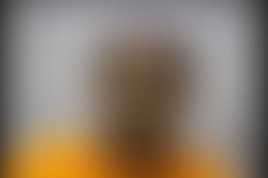 Mt. Juliet Woman hits Patrol Car