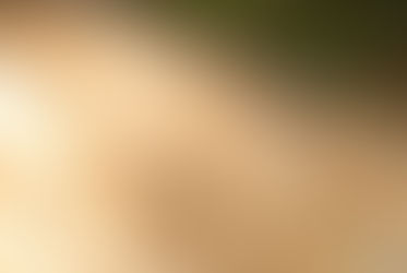 Three Tennessee Counties under Quarantine