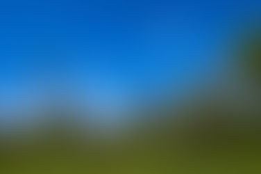 Middle Tennessee Electric Receives Tree Line USA Distinction