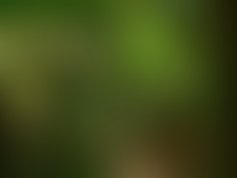 The Jungle Between Us and Civilization