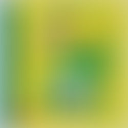 Little Miss Montgomery: Anne of Green Gables - Jennifer Adams (2017)