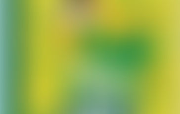 Little Miss Montgomery: Anne of Green Gables - Jennifer Adams (2017)