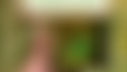 Creepy Castle – John S. Goodall (1975)