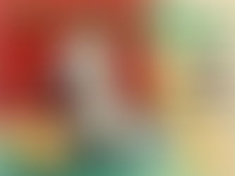 Murphy's Three Homes: A Story for Children in Foster Care - Jan Levinson Gilman (2009)