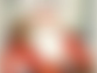 The Complete Father Christmas- Raymond Briggs (1973 & 1975)