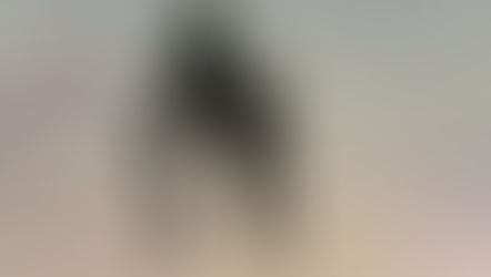 Exit, Pursued by a Bear - E. K. Johnston