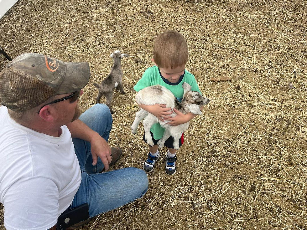 farm pic 3