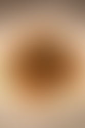 Honey Garlic Chicken