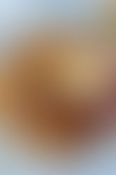 Turkey and Pesto Hawaiian Roll Sliders