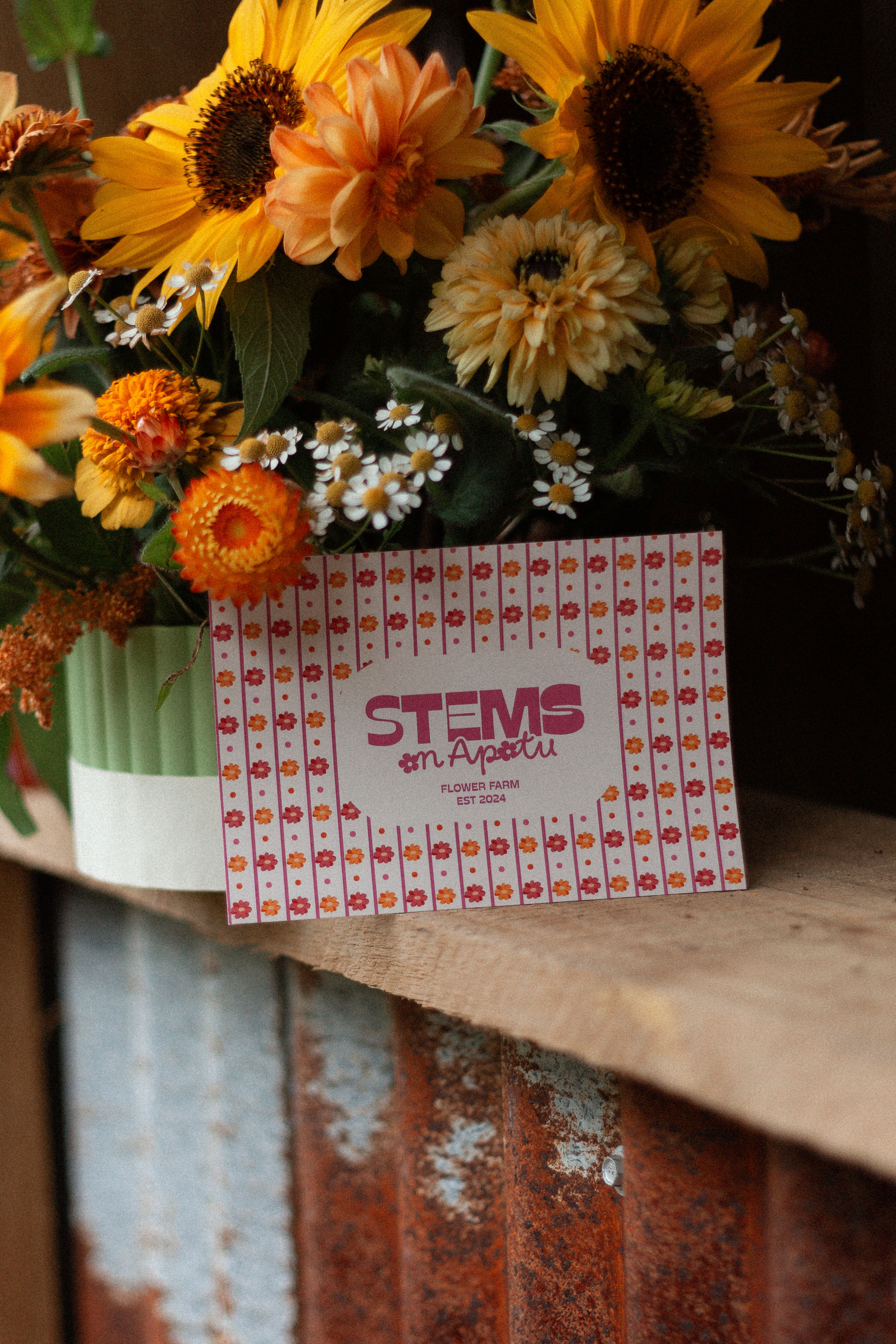 Stems voucher